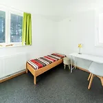 Stylish Retreat With Sauna